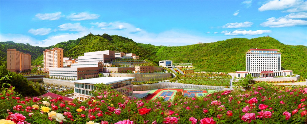 三季有花、四季常青的金徽礦區(qū)-p2.jpg