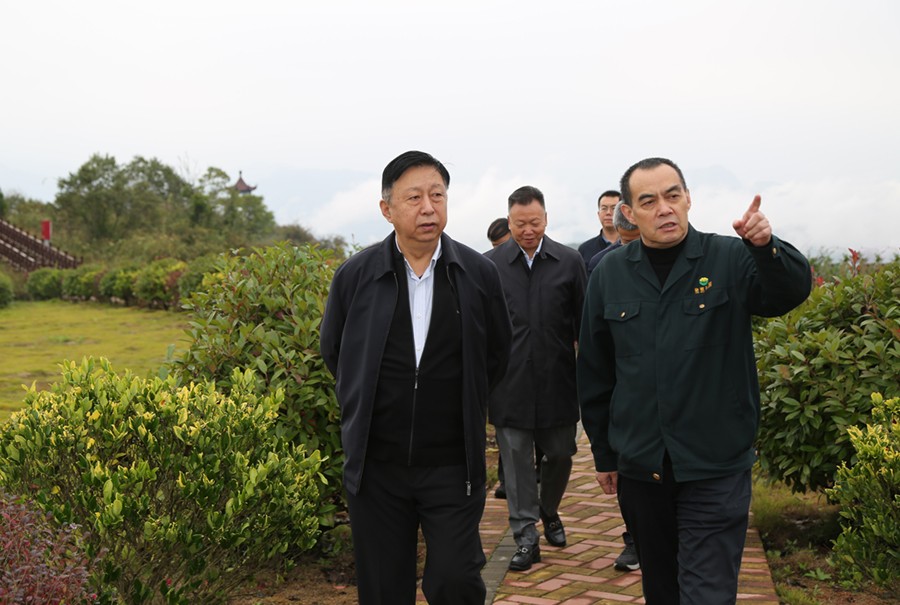 19-2021年10月，原國土資源部副部長汪民蒞臨公司調(diào)研。.jpg