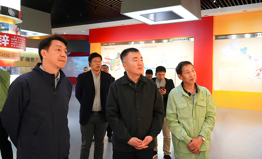 10.4-2024年04月，自然資源部礦保司副司長王博蒞臨公司調(diào)研。.jpg