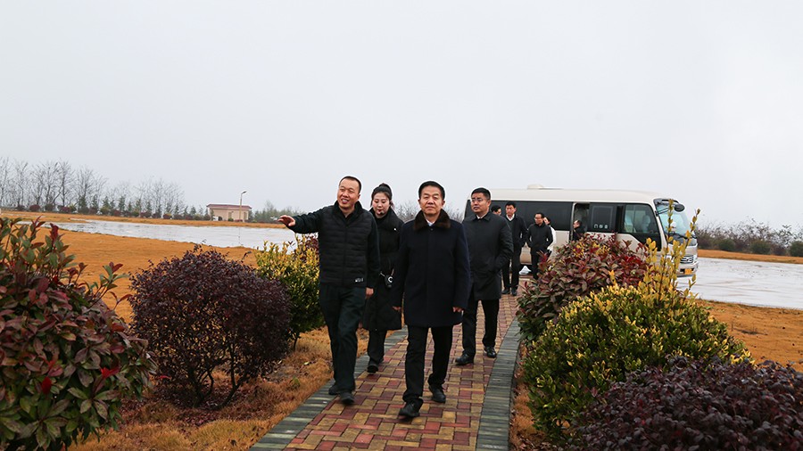 45-2020年12月，省高級人民法院黨組成員、副院長任建國蒞臨金徽股份調(diào)研知識產(chǎn)權司法保護工作。.jpg